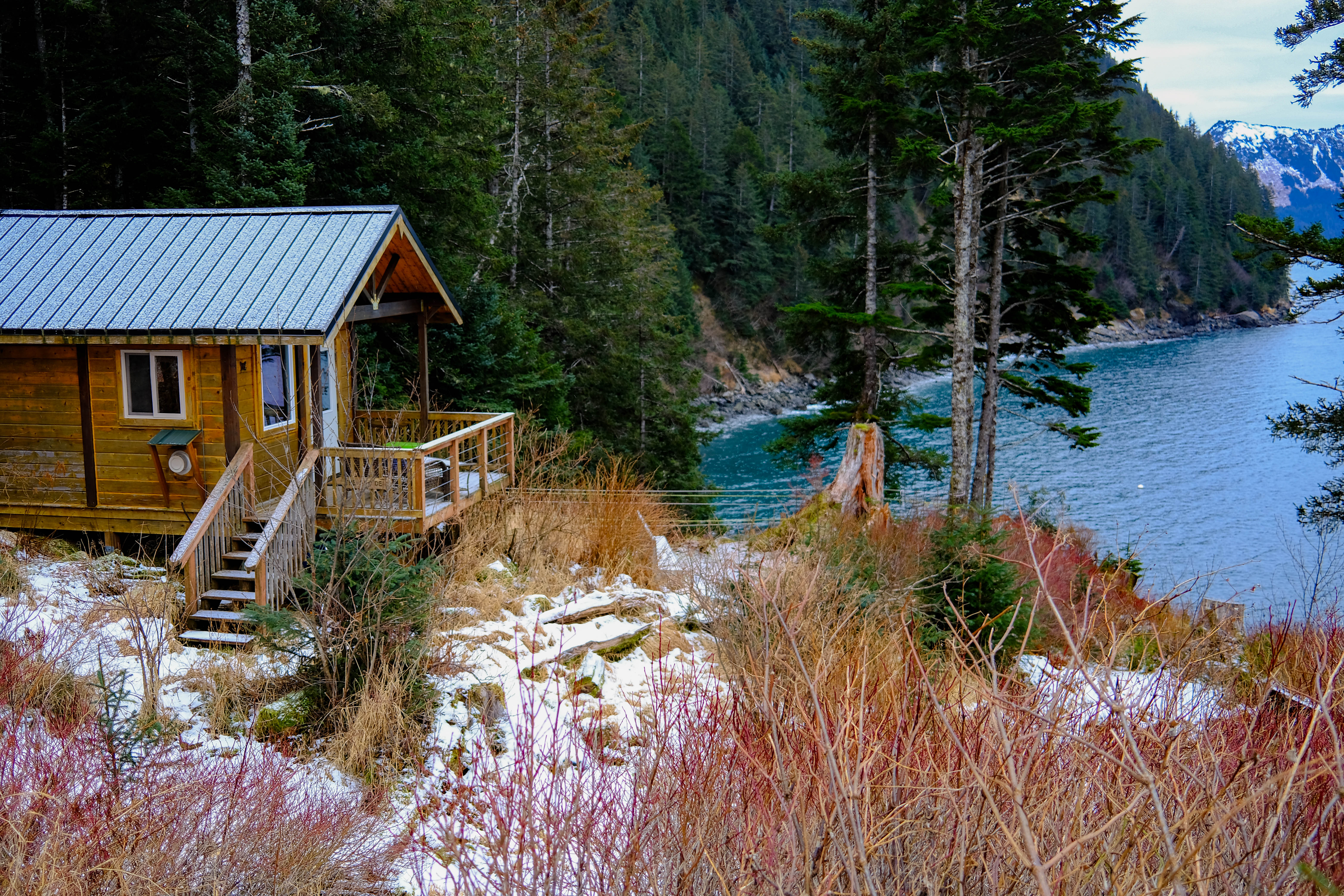 Obituary: James Albert Conant