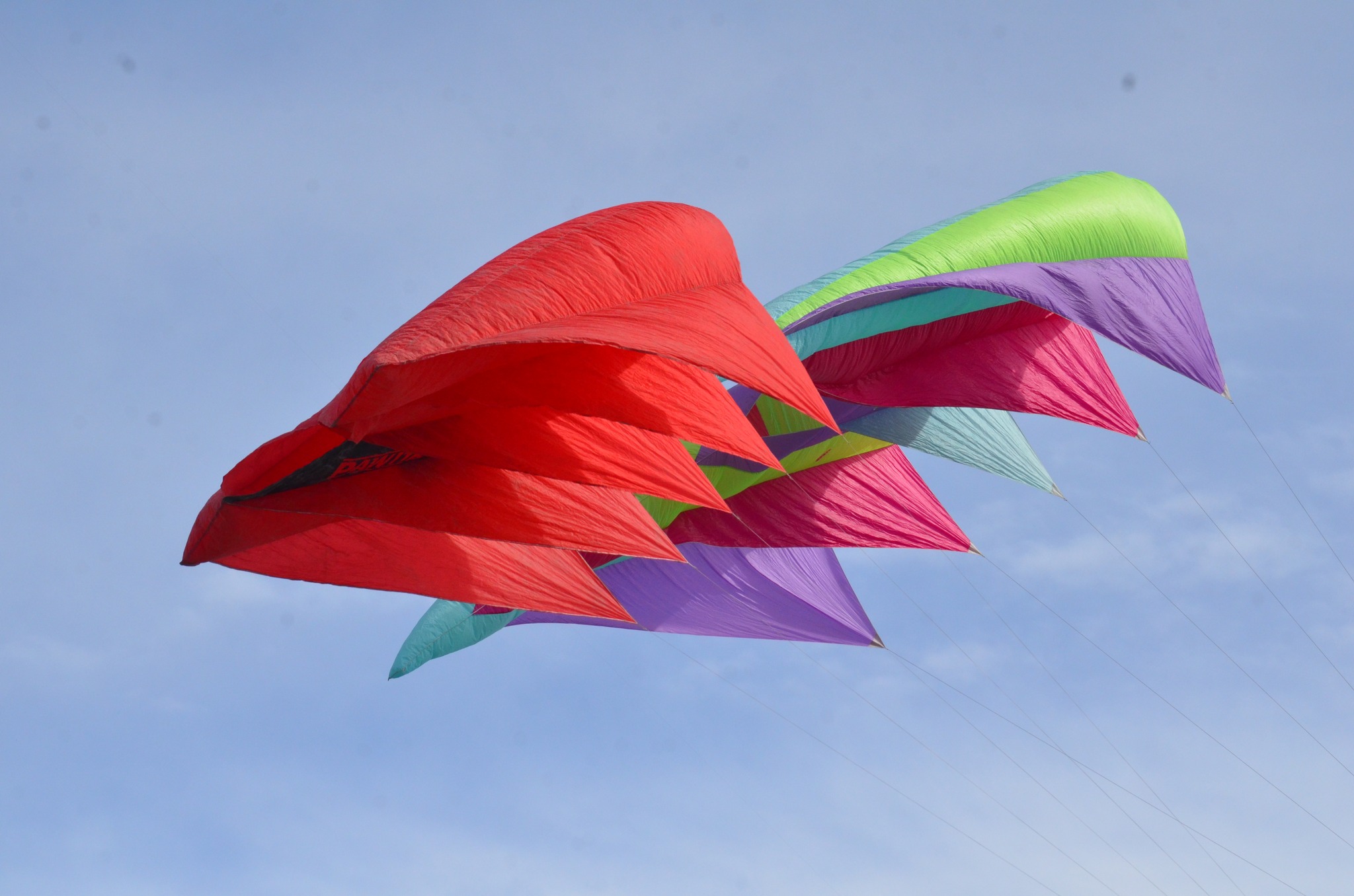 Seward’s sky comes alive! 2025 Kite Festival