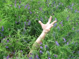 Seward: This week’s photos and highlights