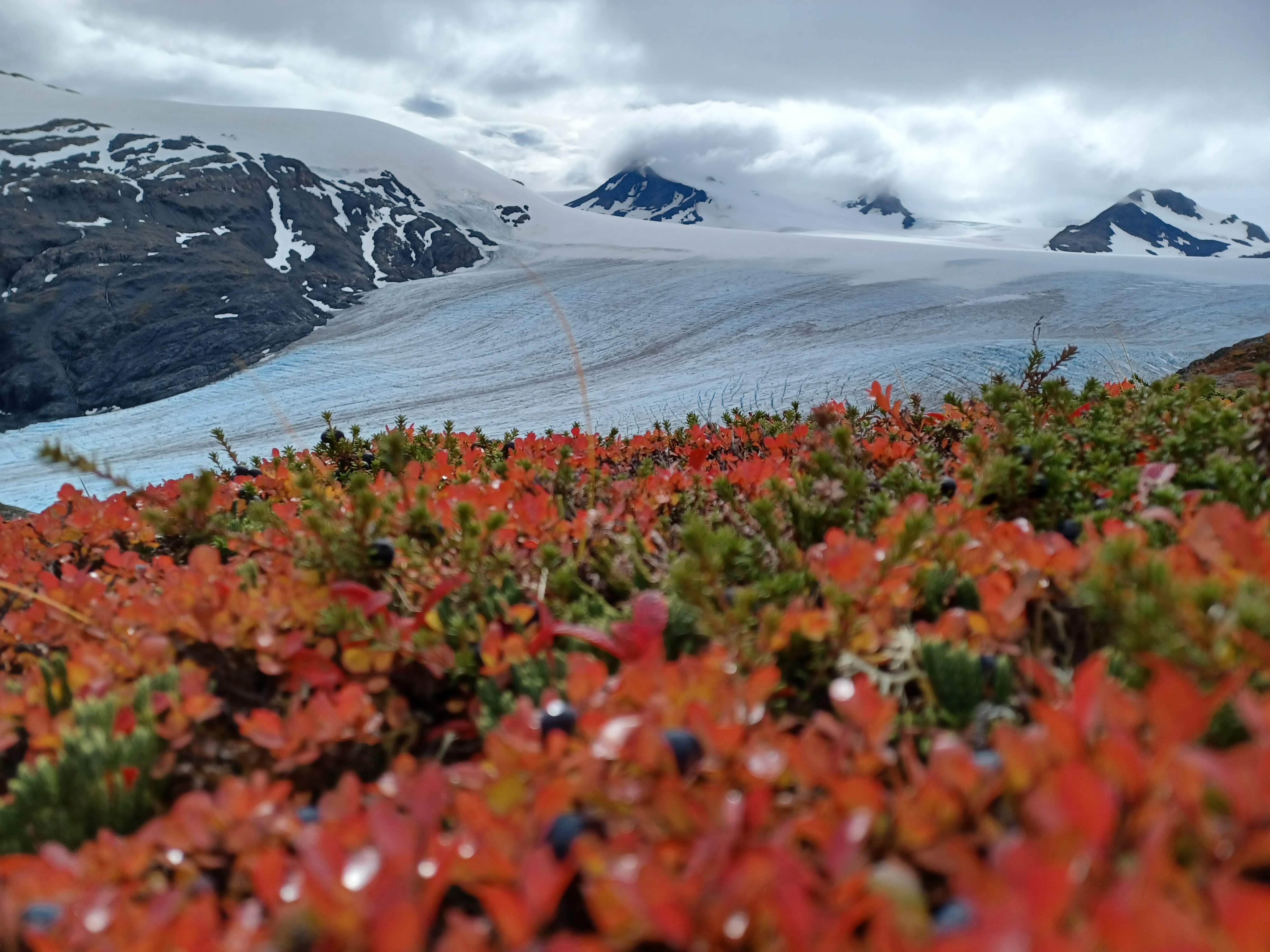 Seward Event Guide: Oct. 2-9, 2025