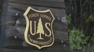 Federal workforce reductions: A Seward perspective