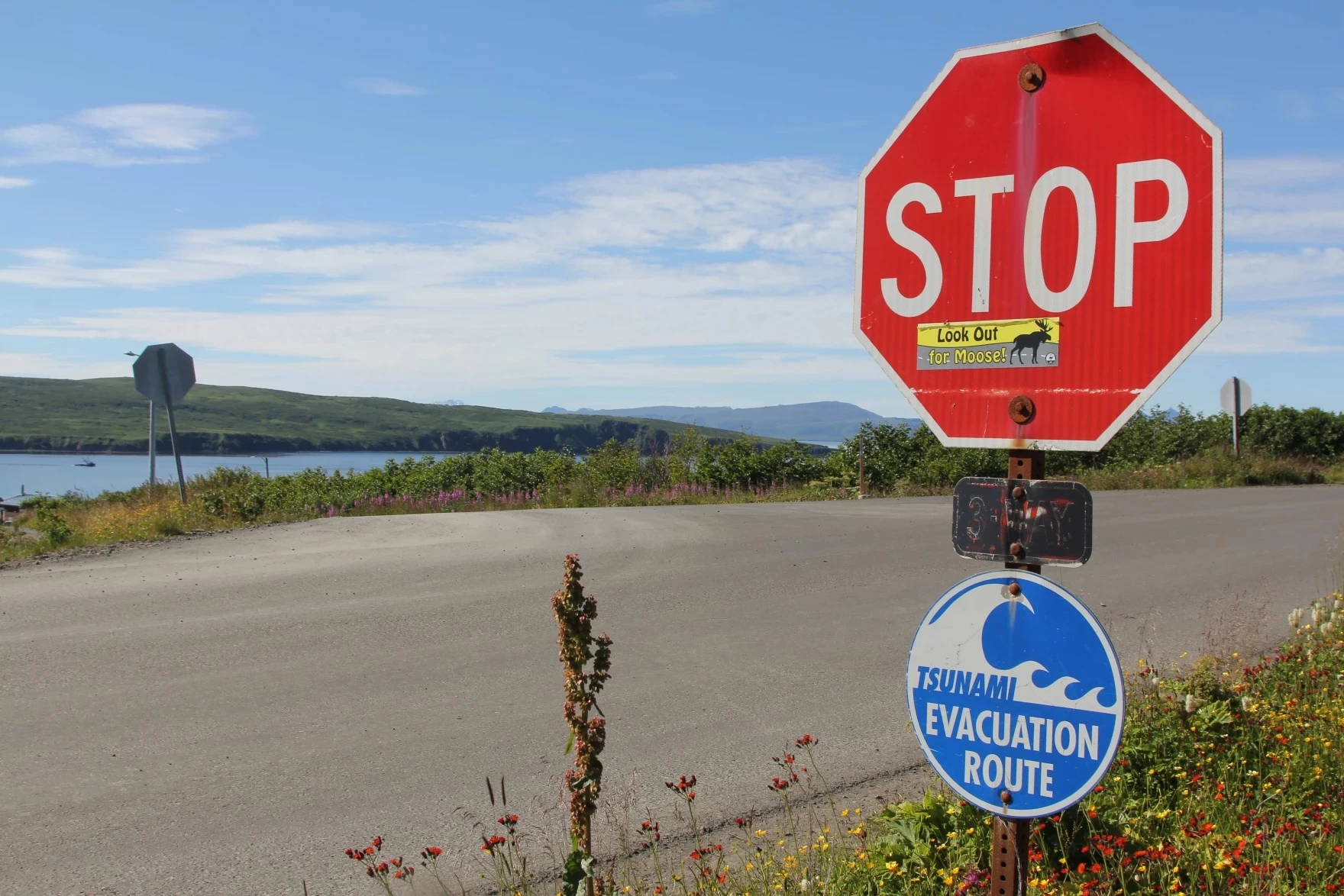 NOAA cancels funding for data collection crucial to tsunami warning systems