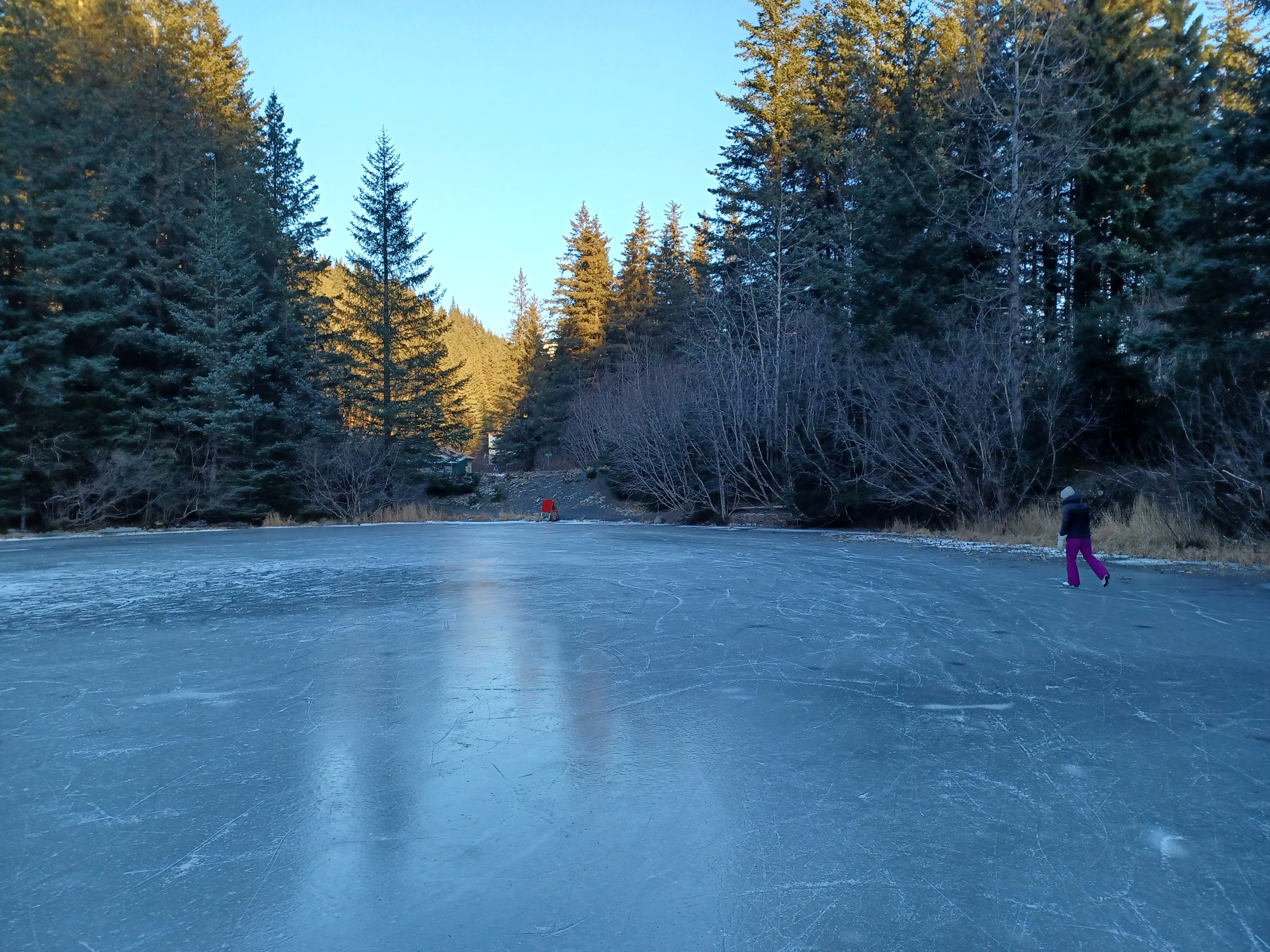 Seward Events Guide: Dec. 11 – 18, 2025