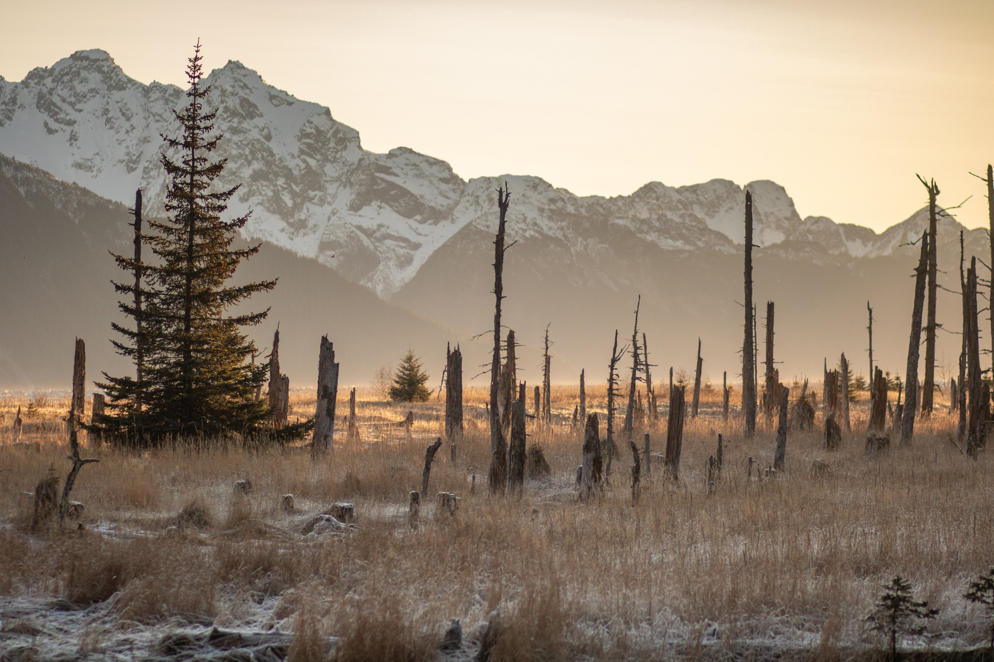 Seward Events Guide: Dec. 4 – 11, 2025