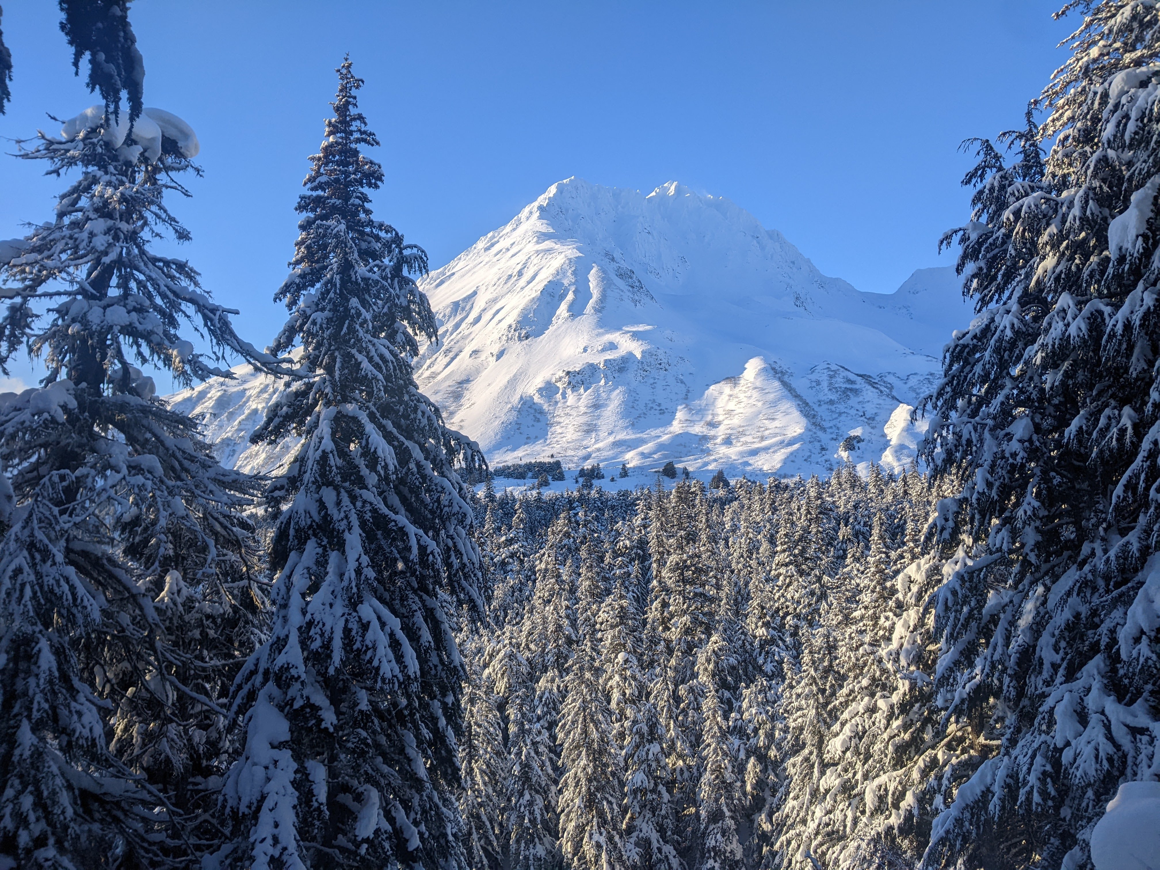 Seward Events Guide: Jan. 15-22, 2026