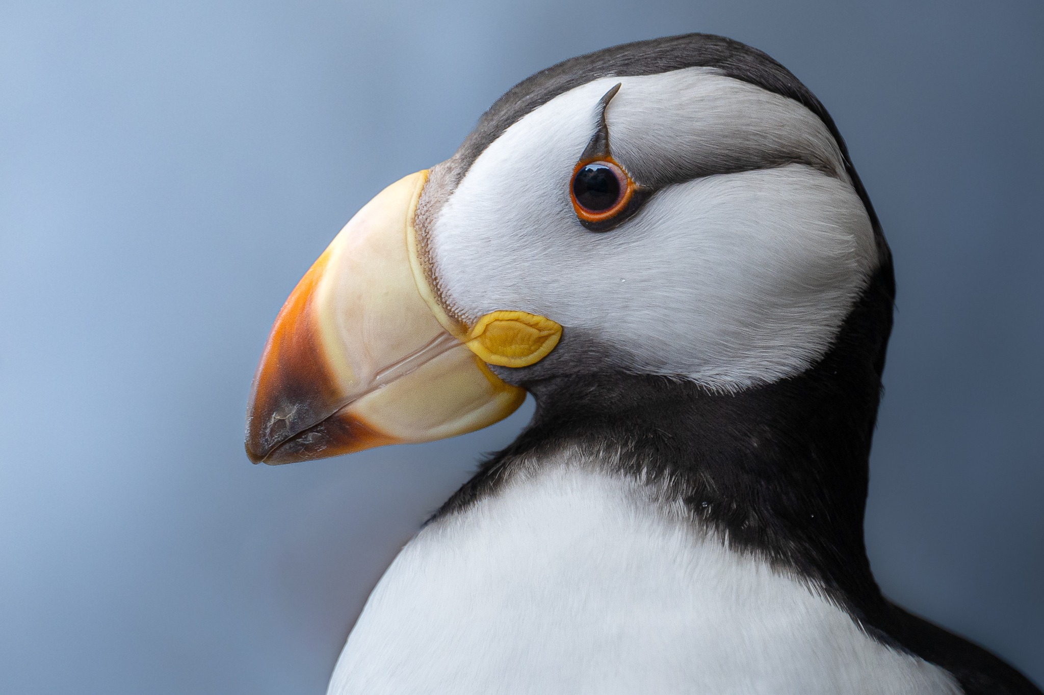 Seward Events Guide: Feb. 19 – 26, 2026