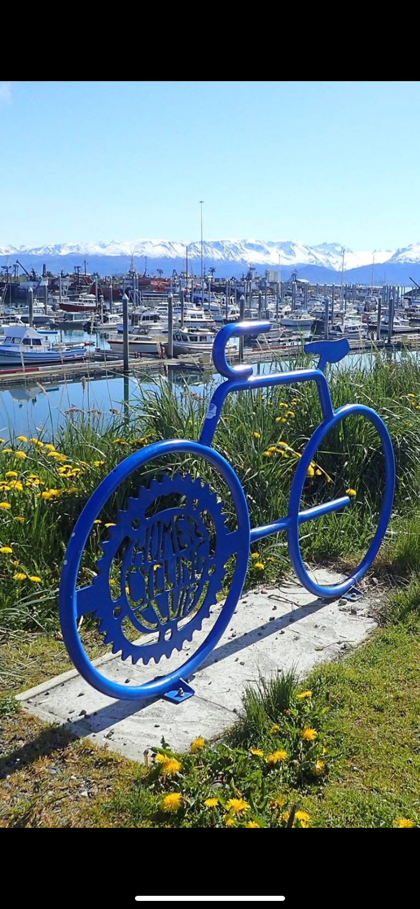 Seward Rotary seeks input on Bike Rack Project