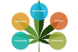 Commentary: From “harmless” to high-risk: A community series on teen cannabis use 