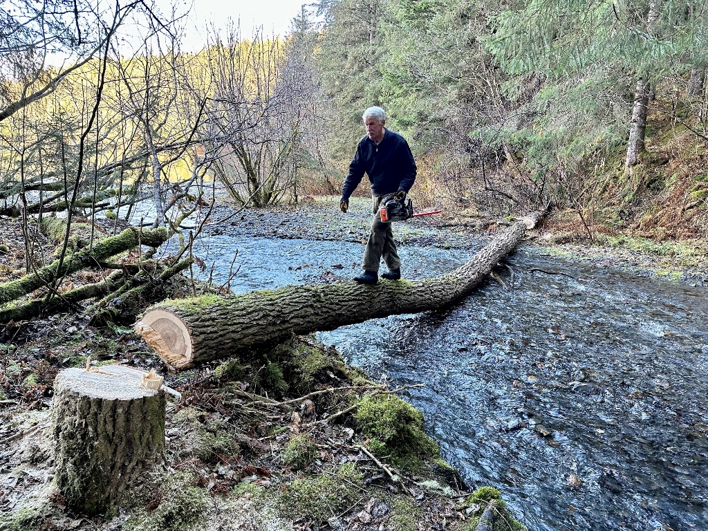 Volunteer Spotlight: Fred Moore