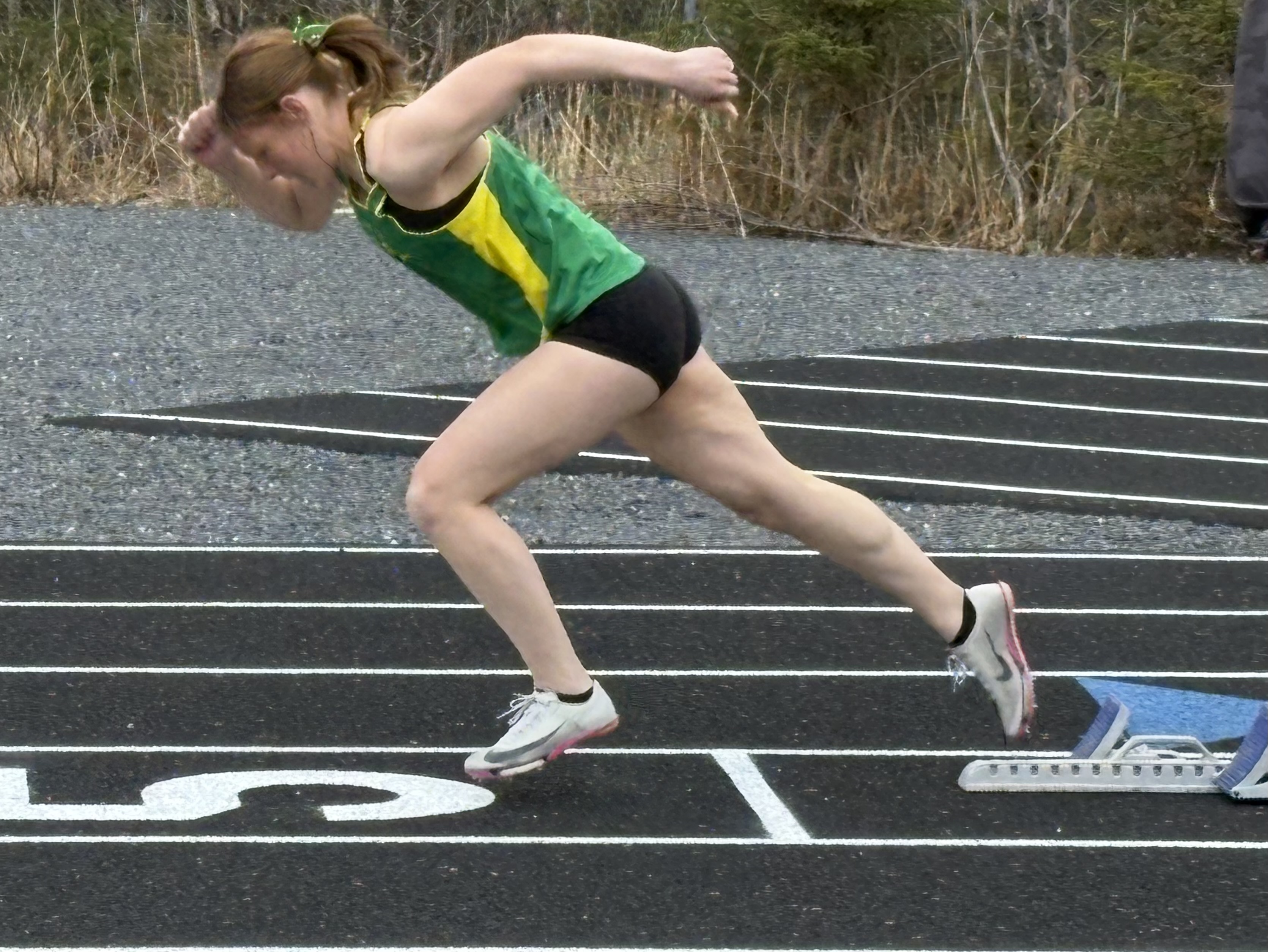 Seward Seahawks send strong contingent to Regions after successful meet