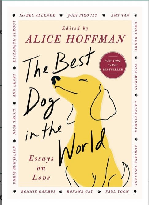 Heartwarming dog stories in ‘The Best Dog in the World’
