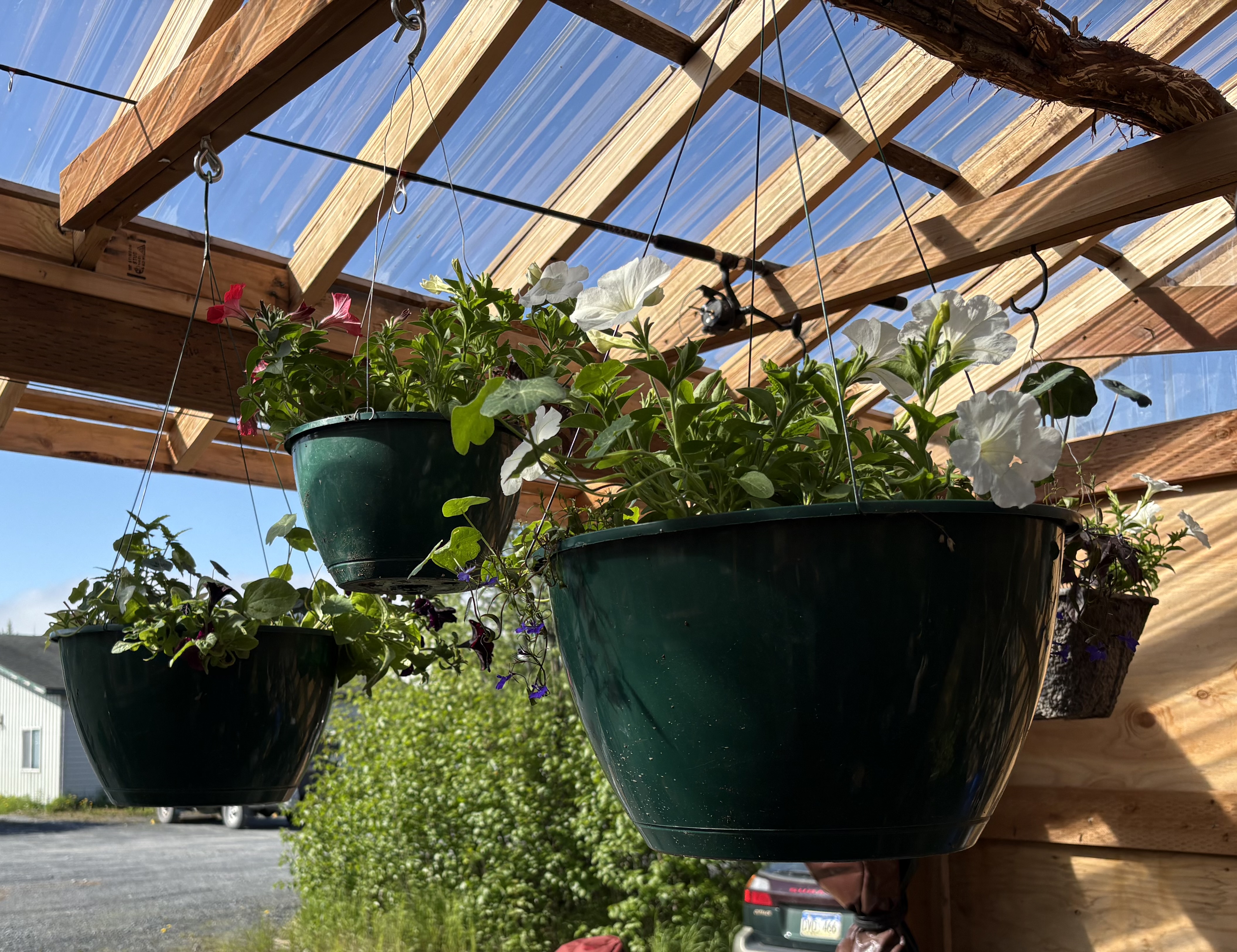 Year-round produce production in Seward? Yes, with careful planning