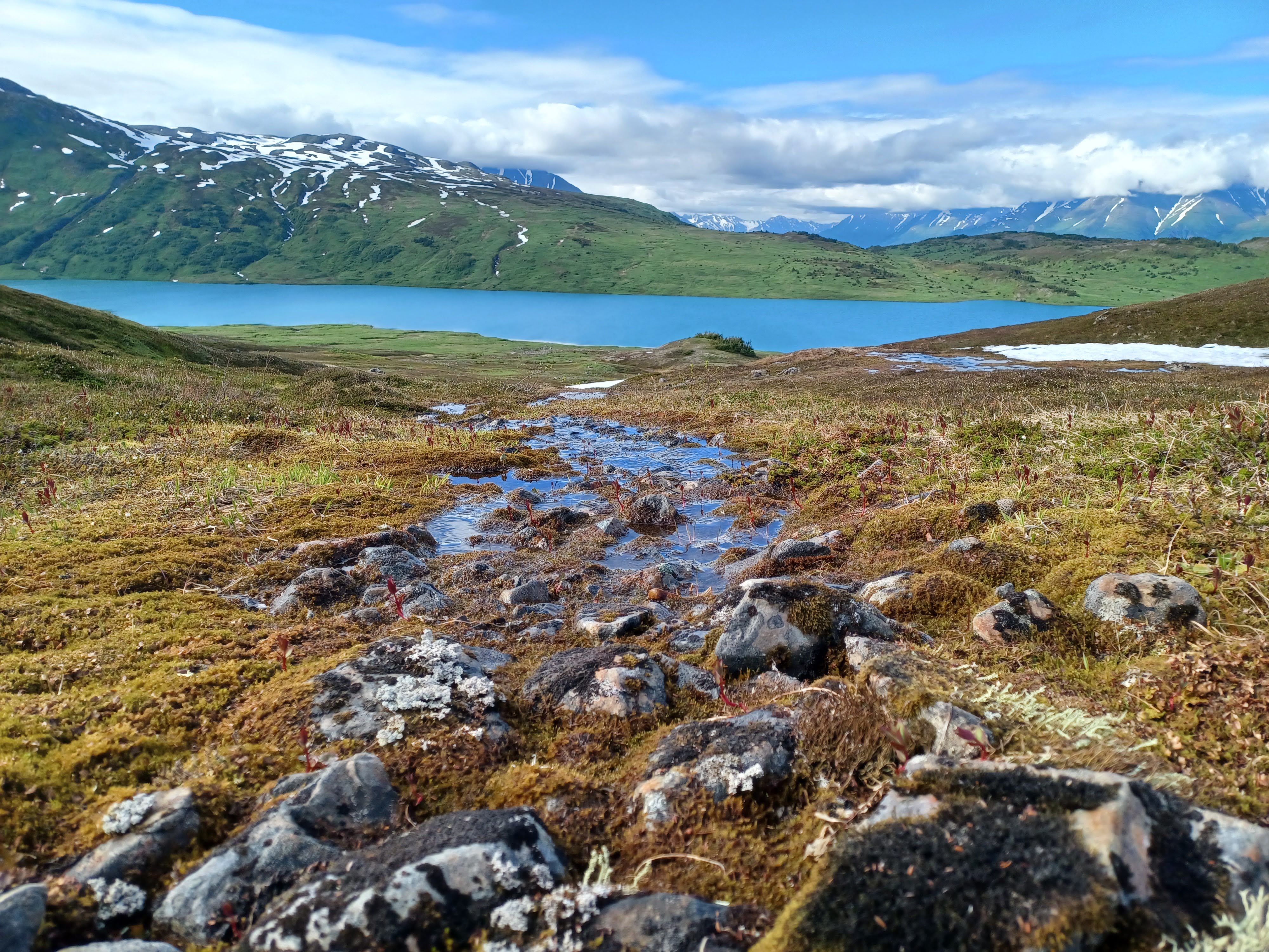 Seward Events Guide: July 30 – August 6, 2026