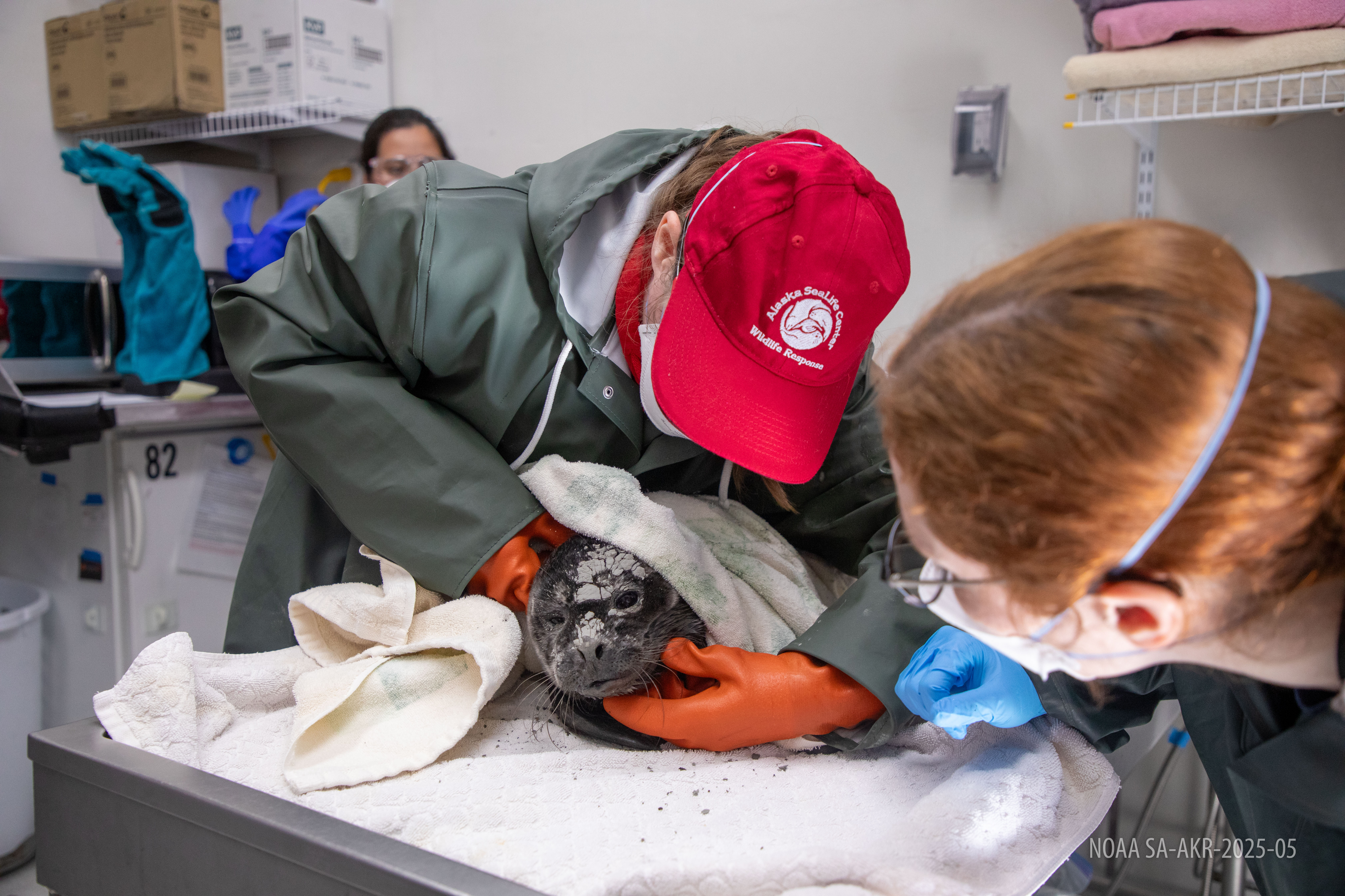 Commentary: Together for Alaska’s oceans – building the next generation