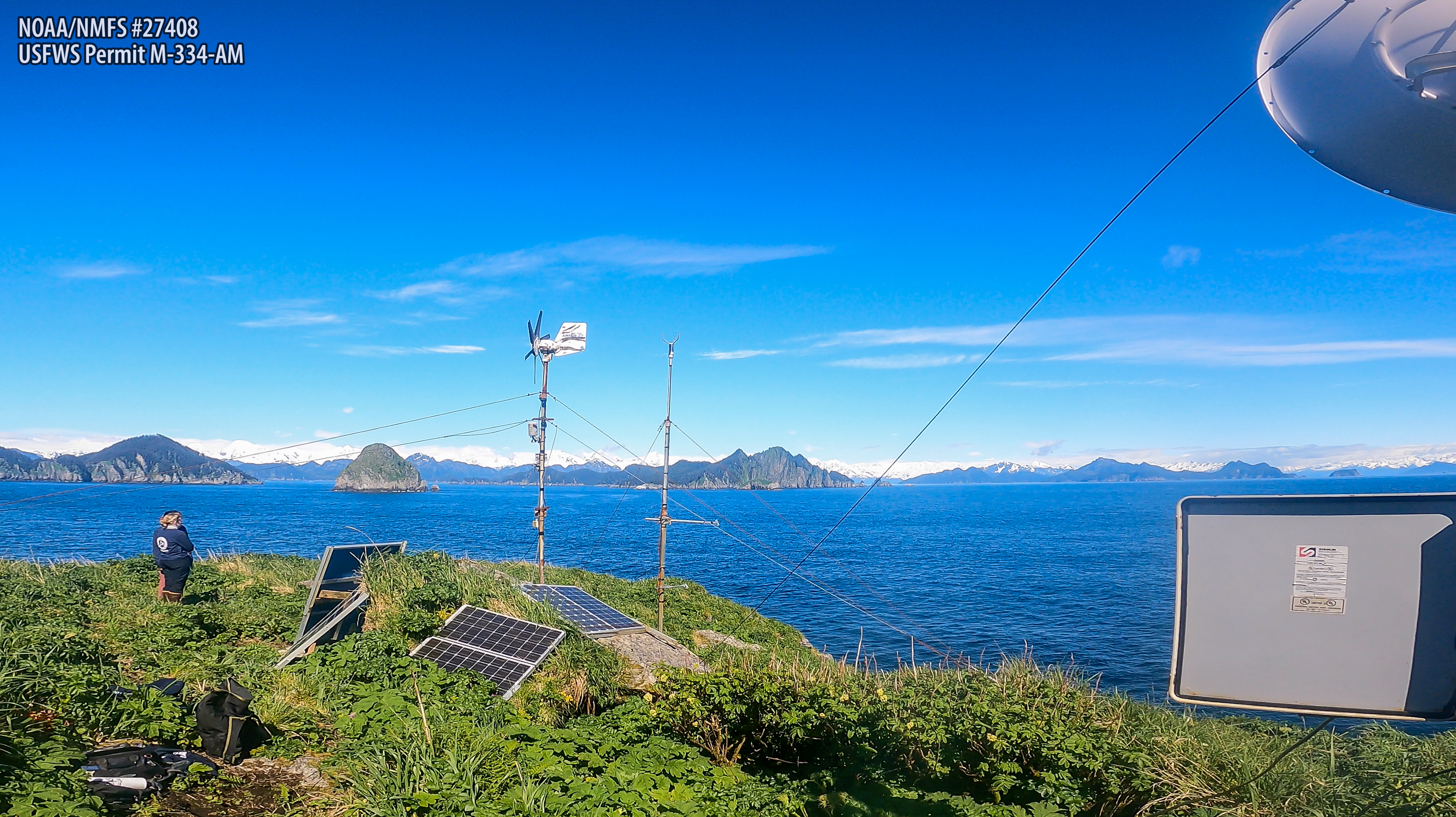 The Chiswell Island Steller sea lion rookery remote monitoring project—28 years on