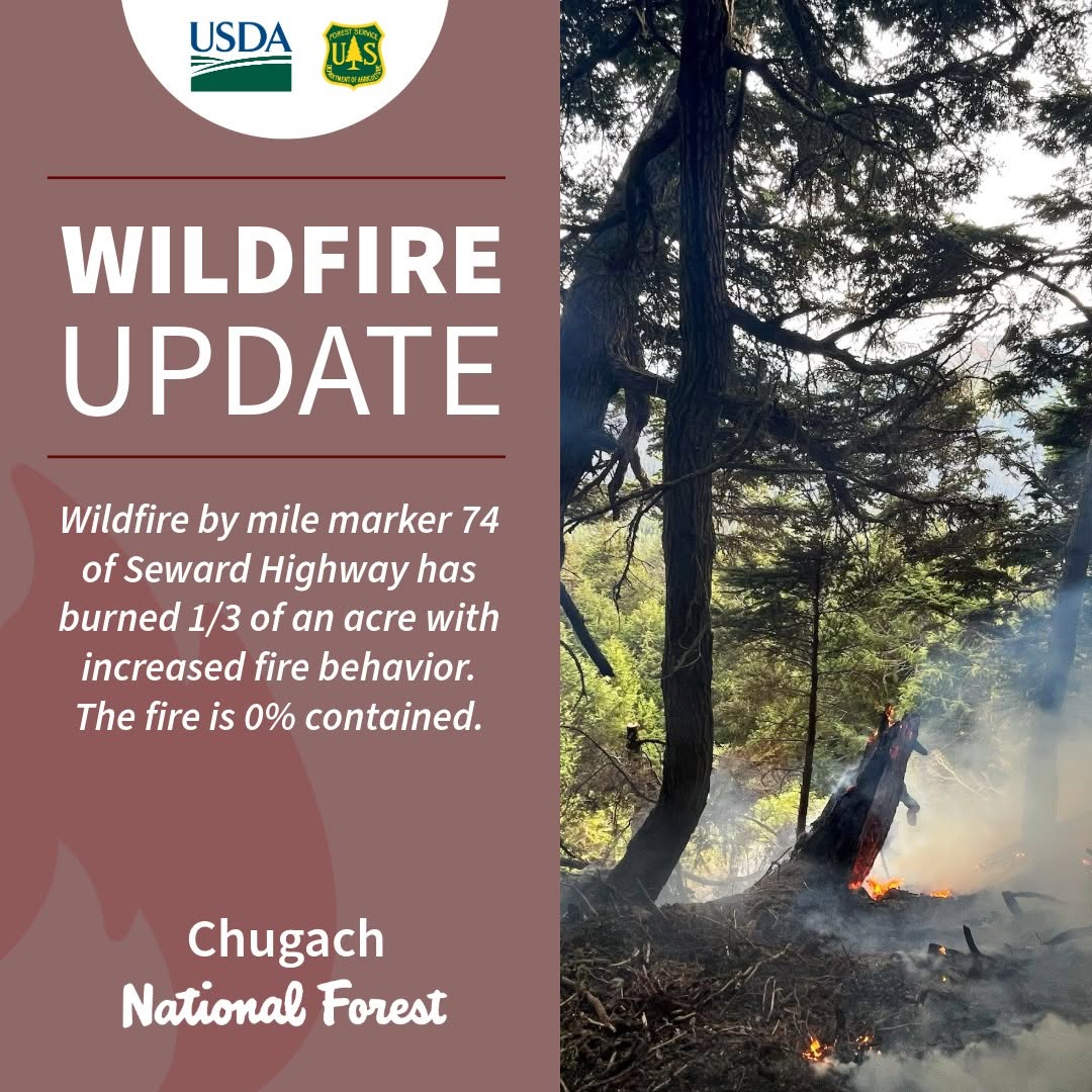 Wildfire started on Chugach National Forest